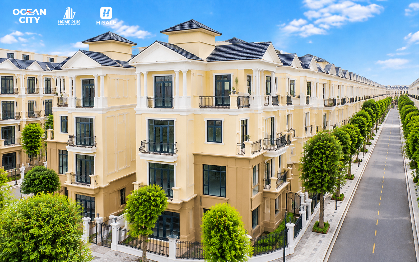 Đơn lập - ảnh 3