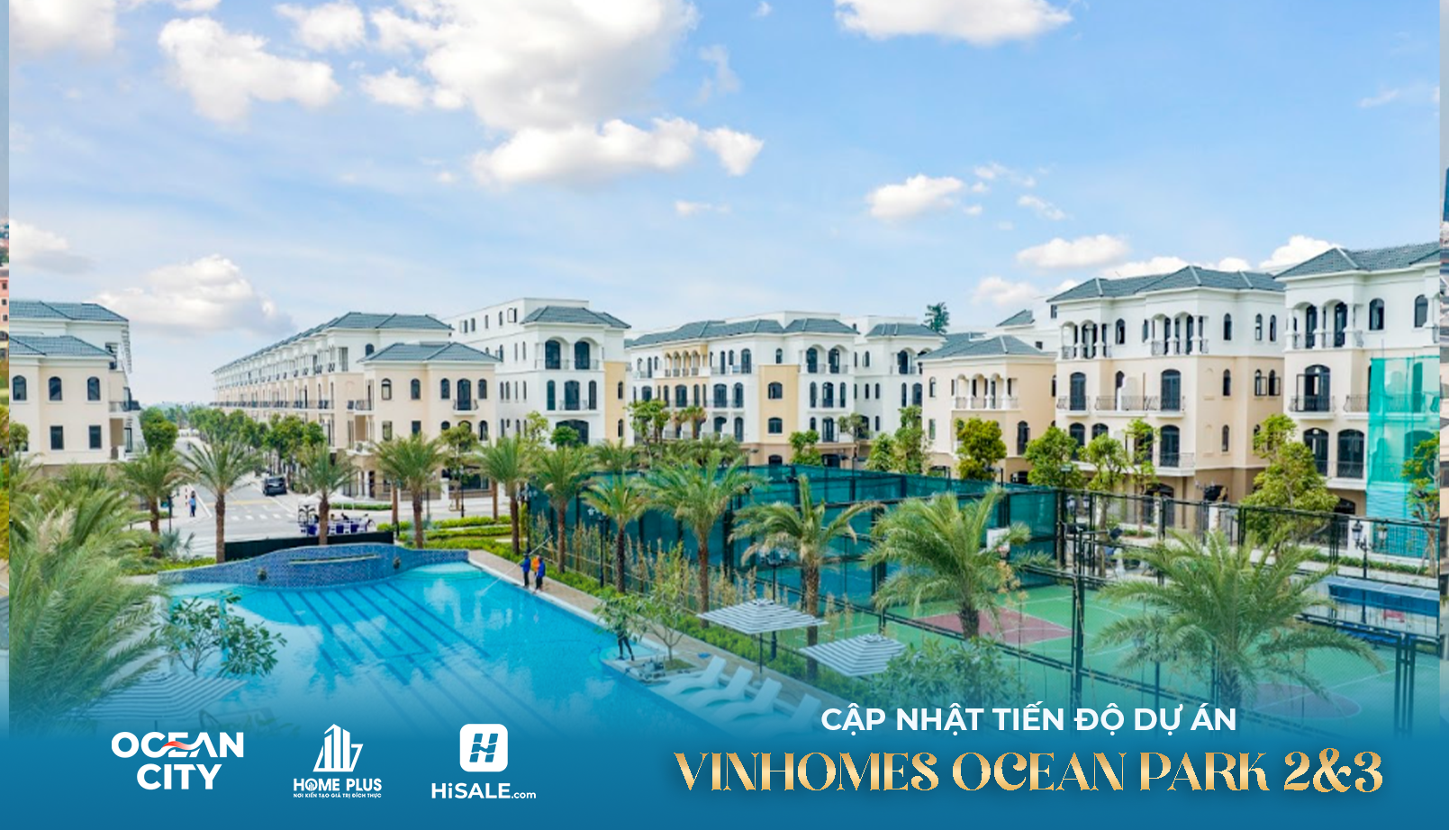 T6/2026