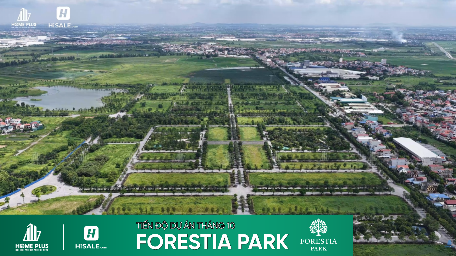 TIẾN ĐỘ T10/2026 DỰ ÁN FORESTIA PARK