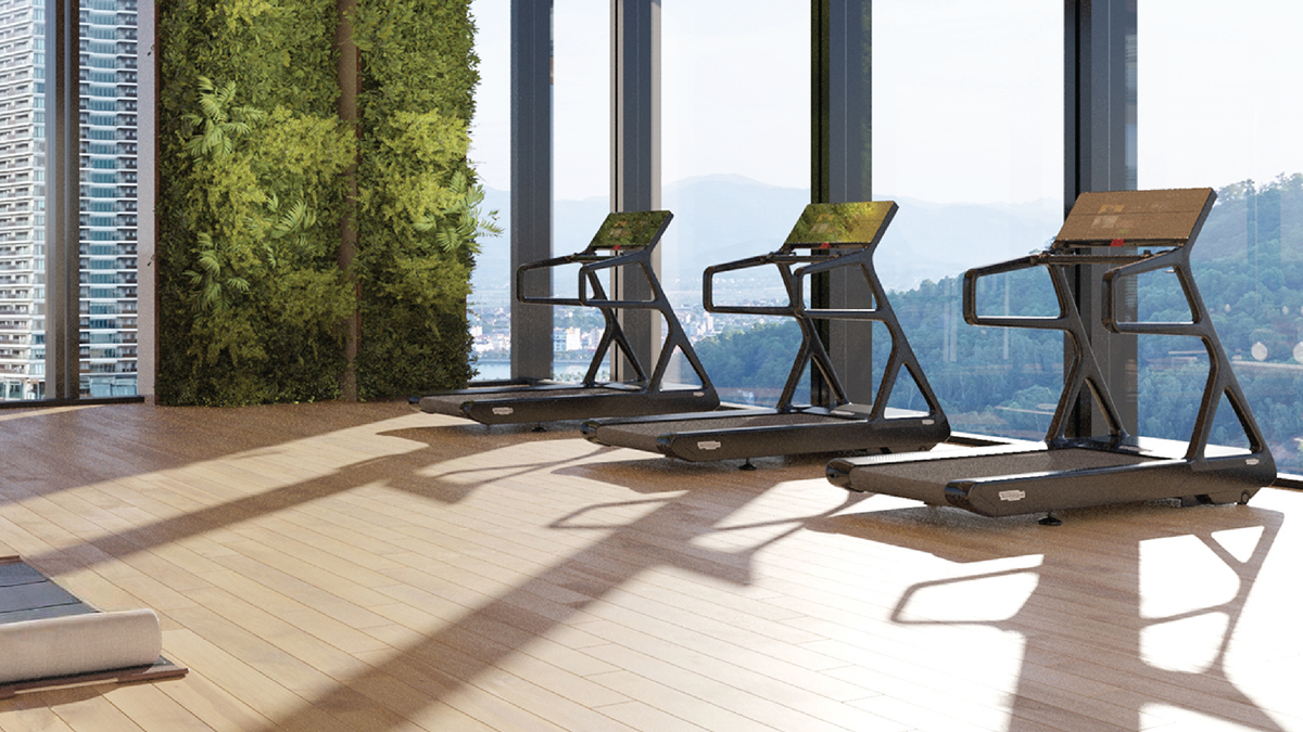 Gym và fitness - ảnh 2